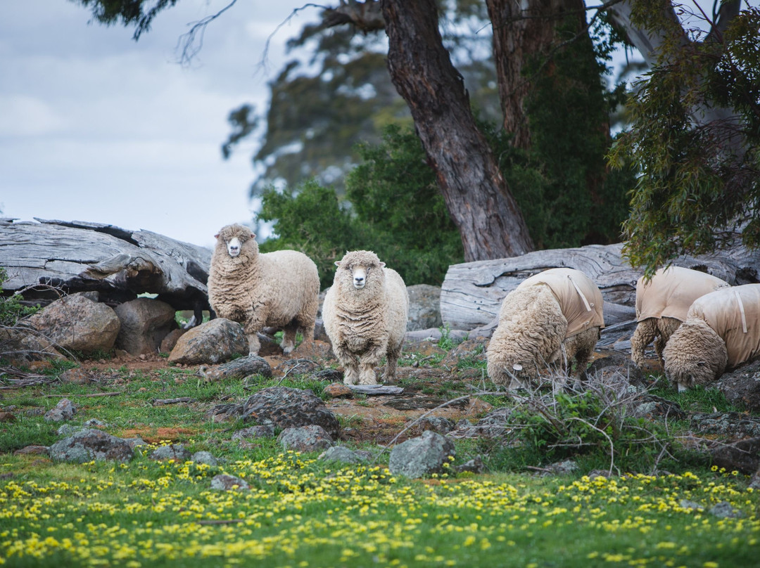 Rooks Edge Bed & Breakfast主图