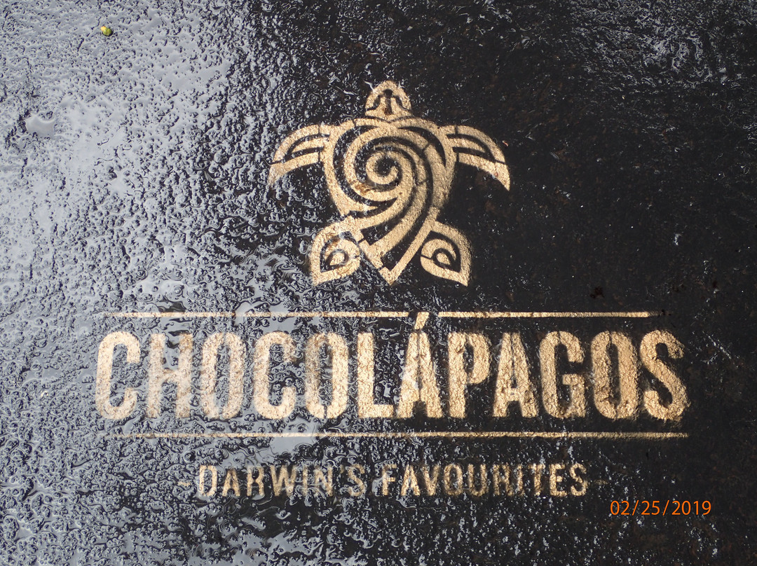 Santa Fe Island旅游景点-Chocolapagos Darwin's Favourites