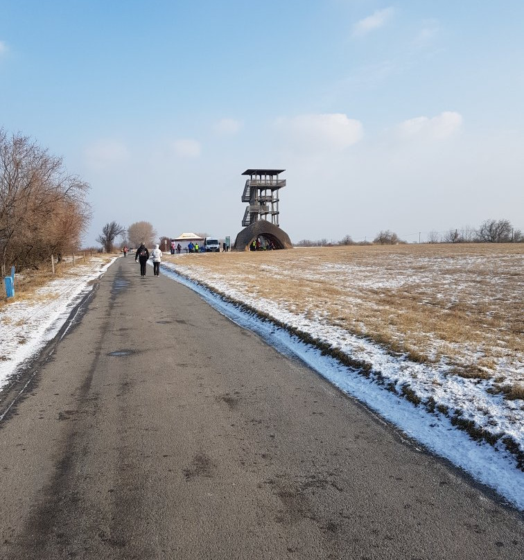Vogelschutzgebiet Lange Lacke-Apetlon必去景点