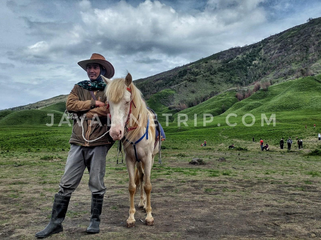 Javaline trip-泗水必去景点