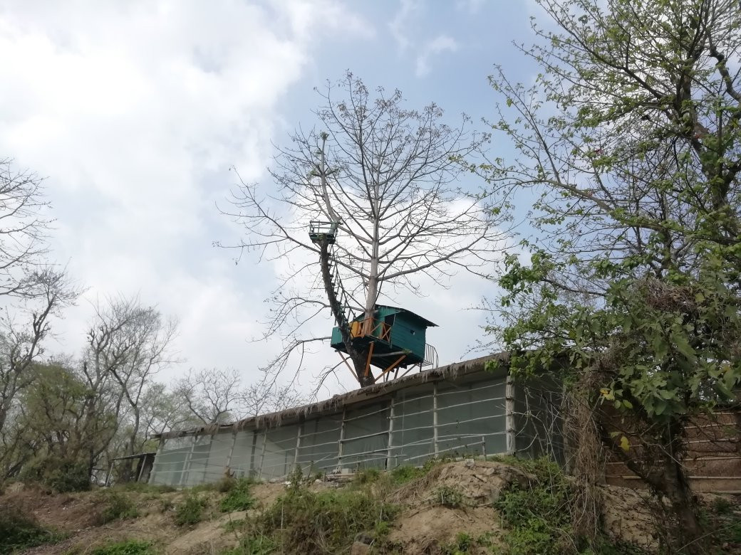 Evergreen Yoga Studio Chitwan景点图片