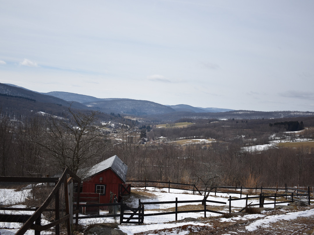 Highlanders View Bed & Breakfast主图