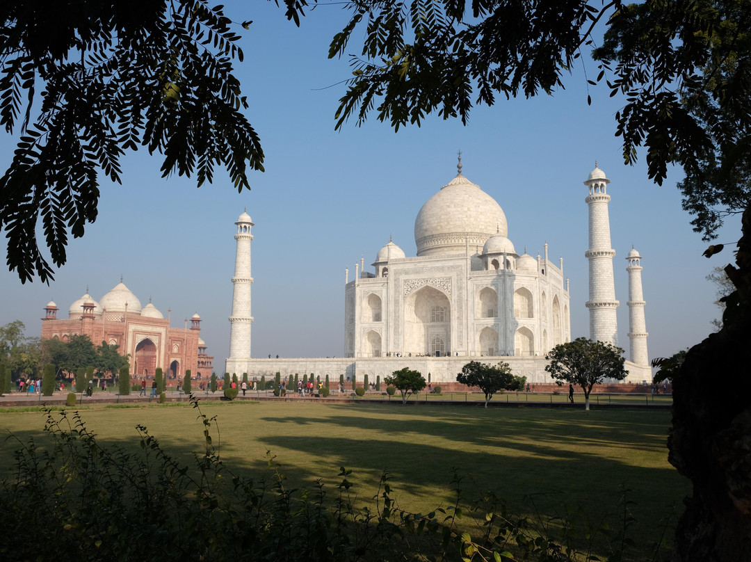 India Odyssey Tours - 1 Day Delhi Tour景点图片