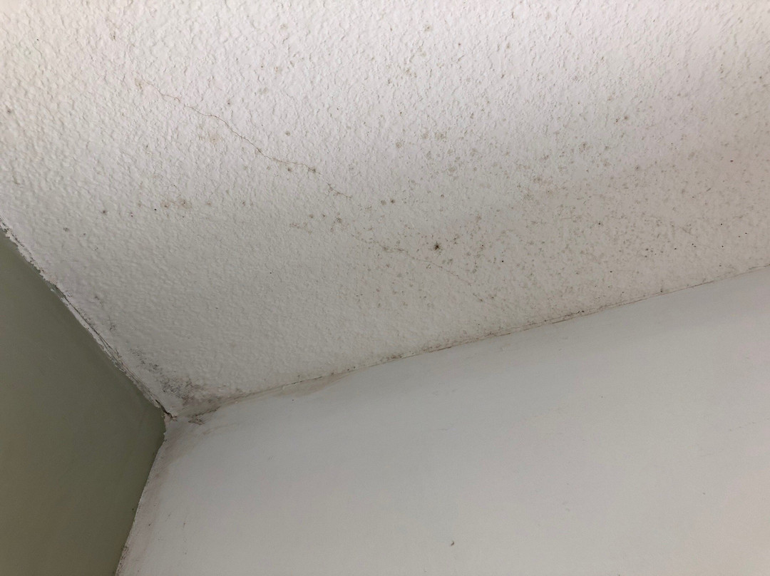 UY Proa Sur Hotel主图