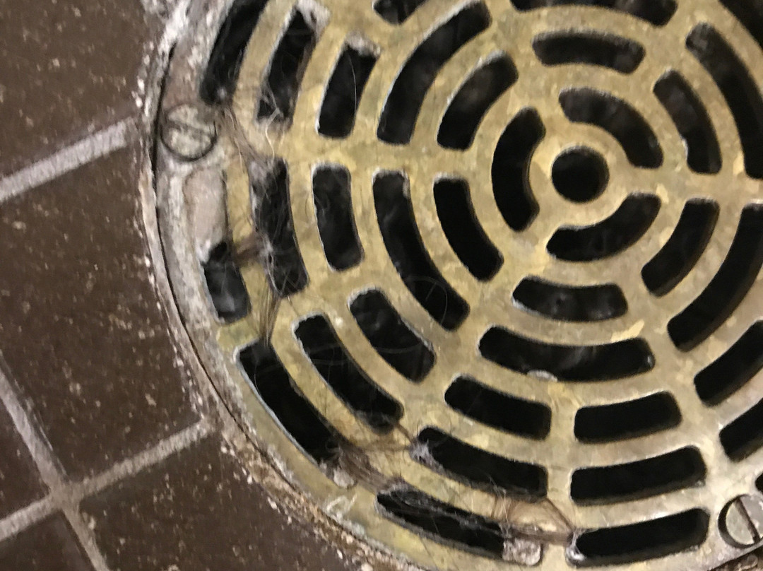 印第安纳波利斯/卡梅尔希尔顿花园酒店主图