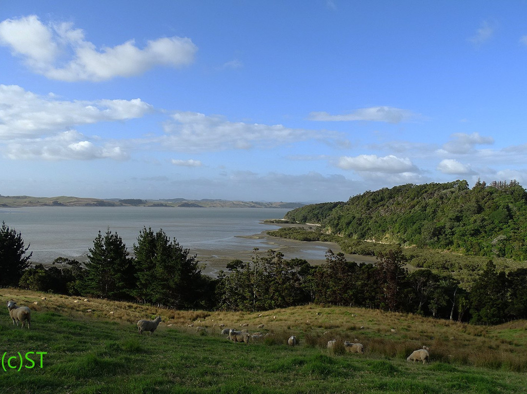 Atiu Creek Regional Park-Tapora必去景点