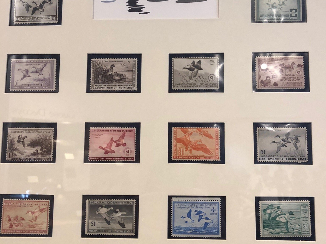 Chesapeake Bay Maritime Museum-Miles River Cruises-圣迈克必去景点