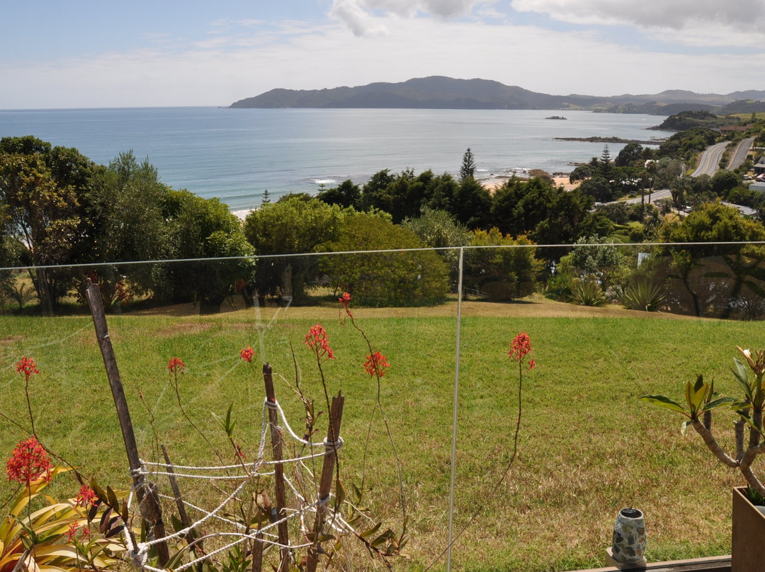 Carneval Ocean View主图