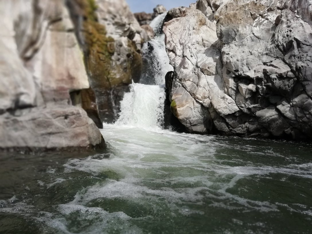 Hogenakkal Falls景点图片