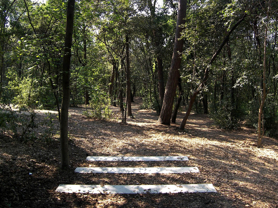 Espace de l'Art Concret - Centre d'art contemporain d'intérêt national-Mouans-Sartoux必去景点