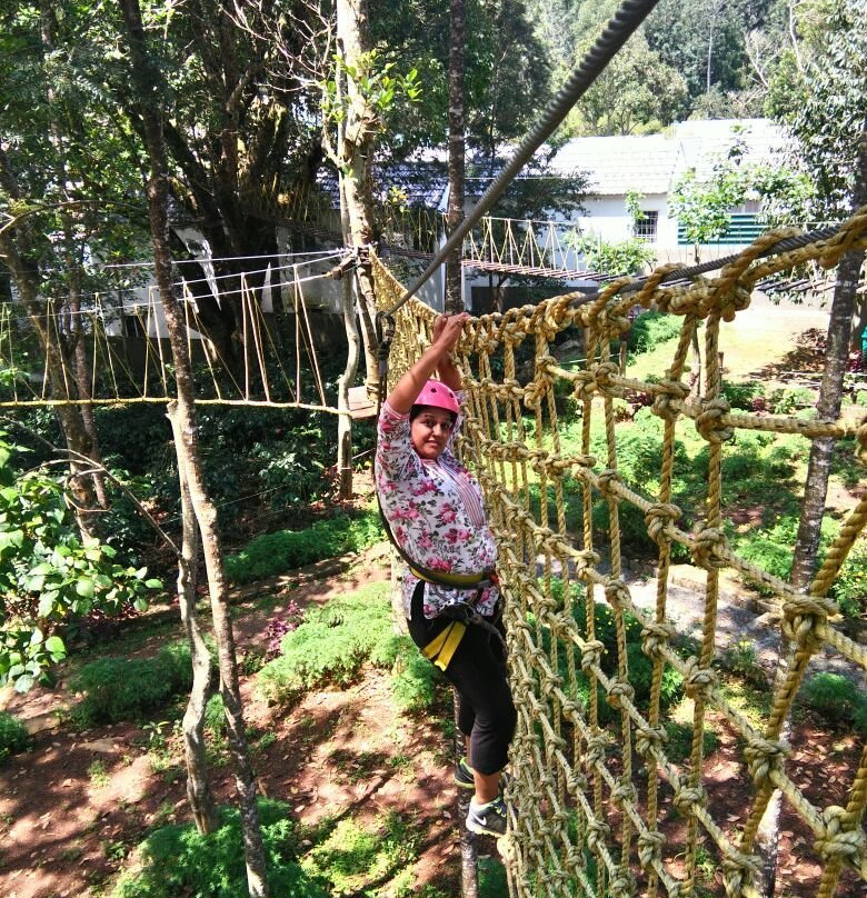 Grange TreeTop Adventure景点图片