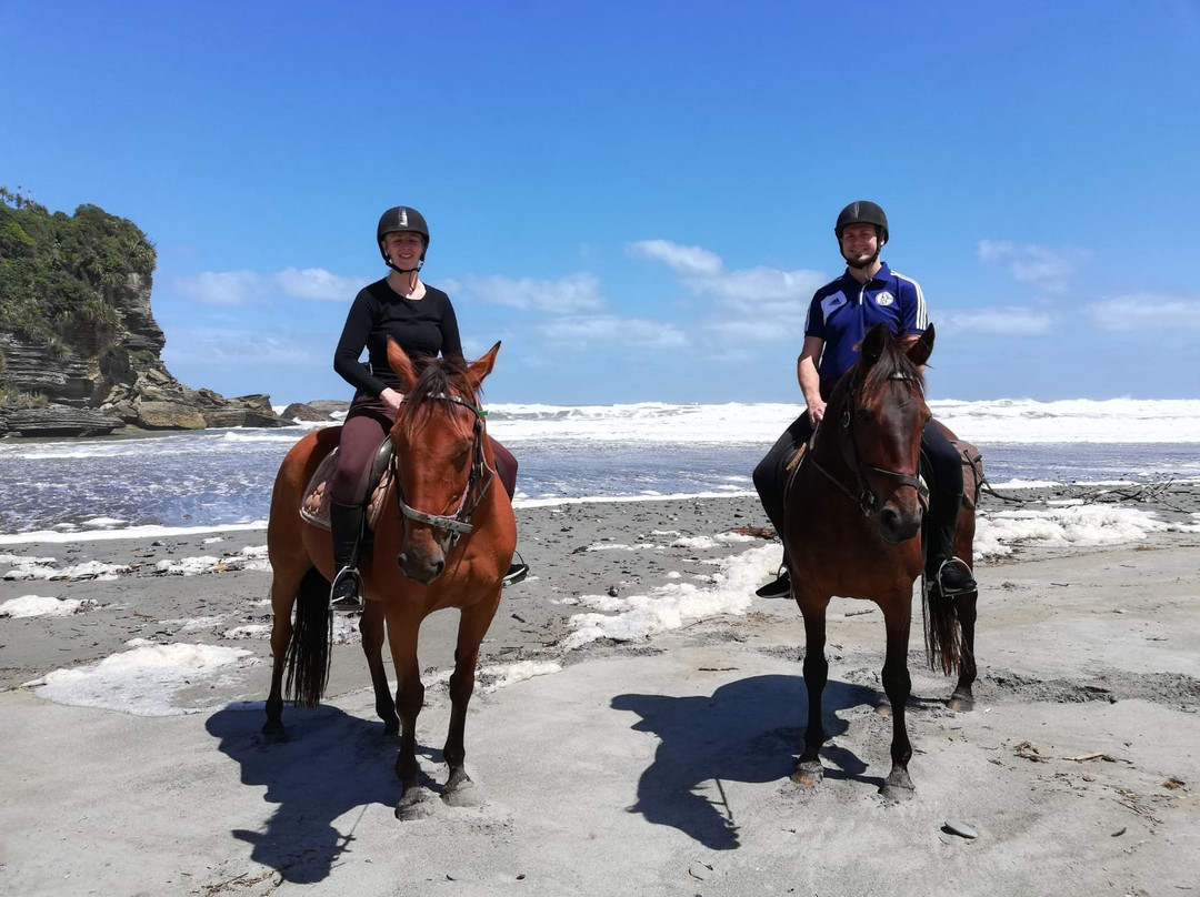 Punakaiki Horse Treks景点图片