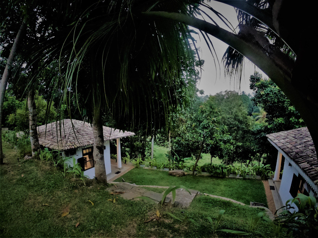 The Jungle Loft主图