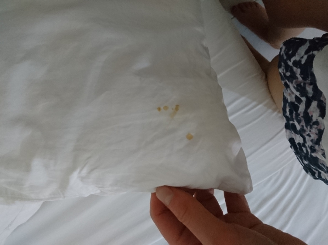 Jamaica Crest Hotel主图