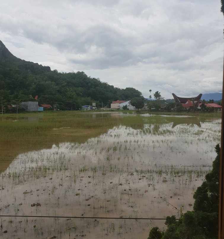 Rosalina Homestay主图