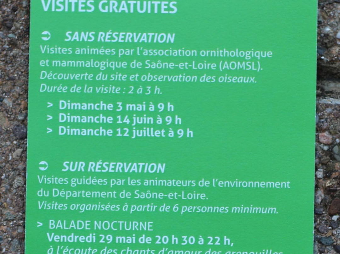 Office de tourisme de Digoin景点图片