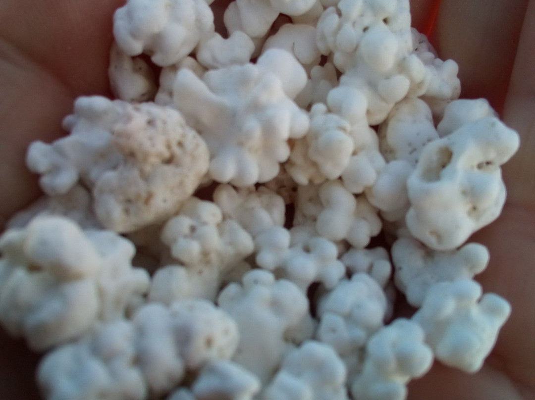 Popcorn Playa景点图片