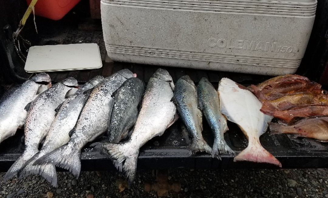 Wild Northern Adventures-Stewart必去景点