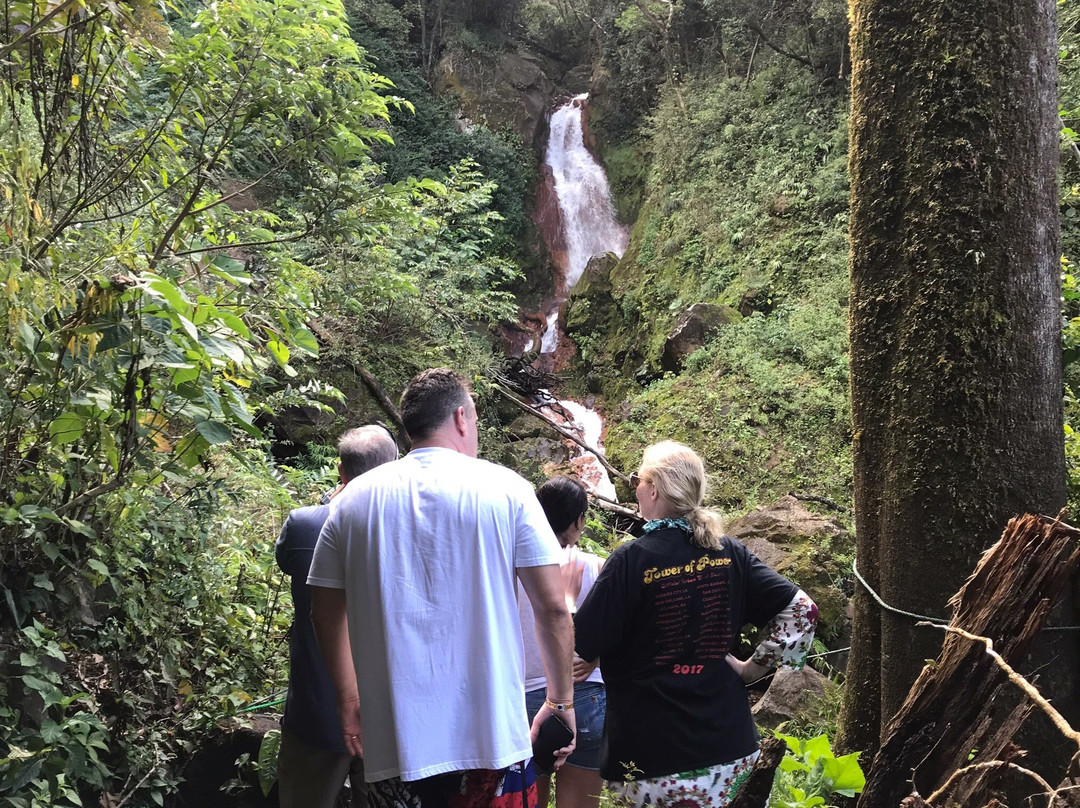 Costa Rica Adventures Travels景点图片