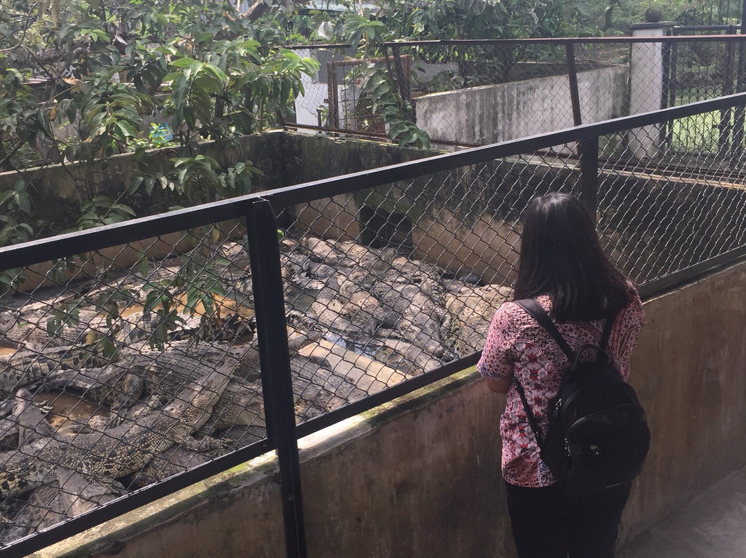 Asam Kumbang Crocodile Farm-棉兰必去景点