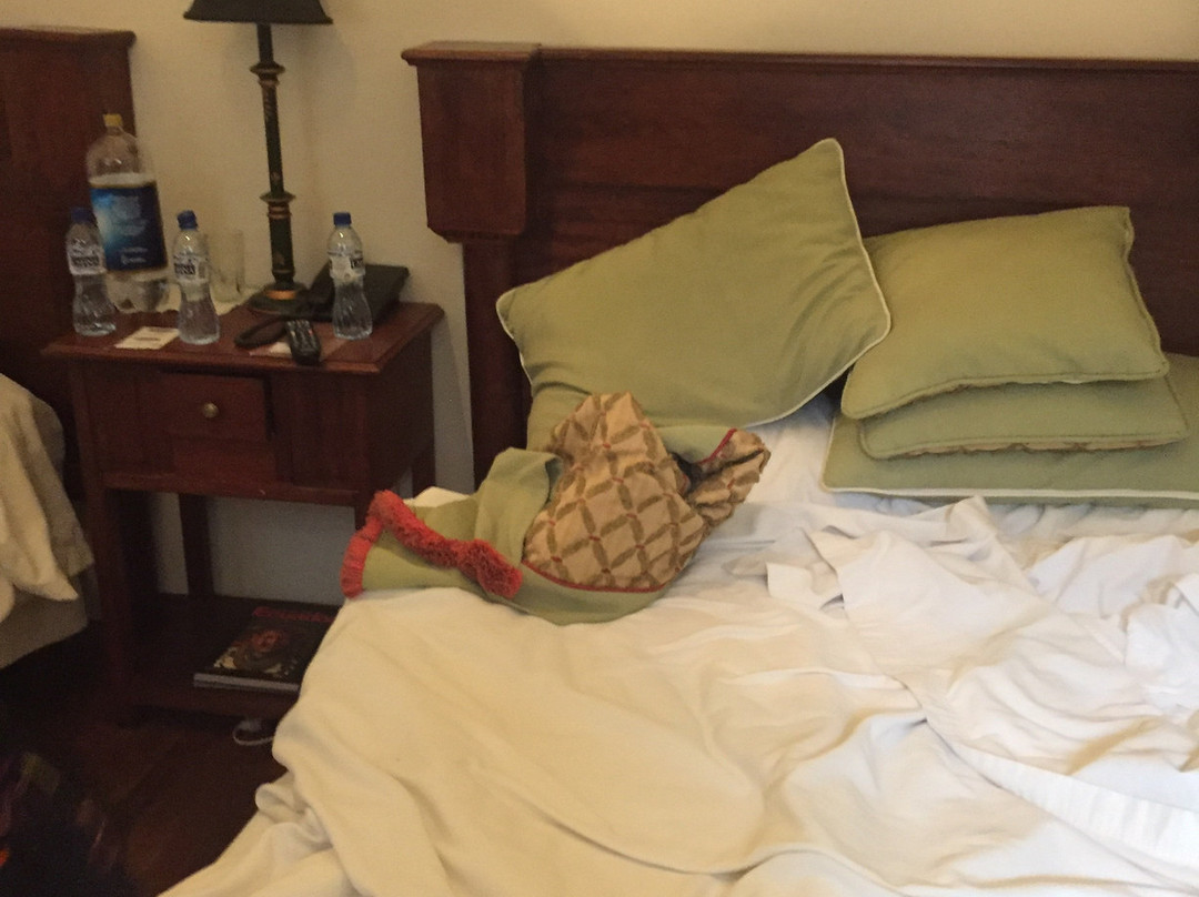 Roka Plaza Hotel Boutique主图