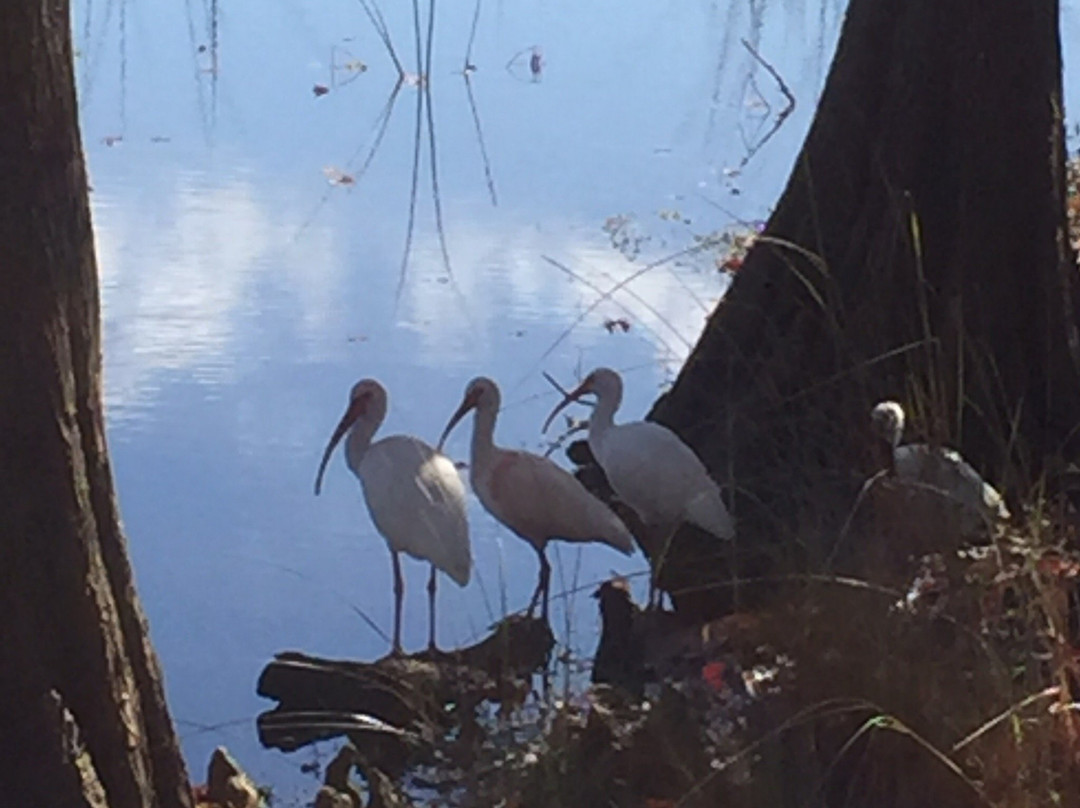 Secret Lake Park-卡塞尔伯里必去景点