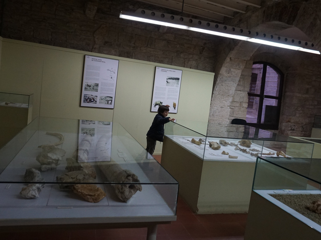 Museu Arqueológic Comarcal景点图片