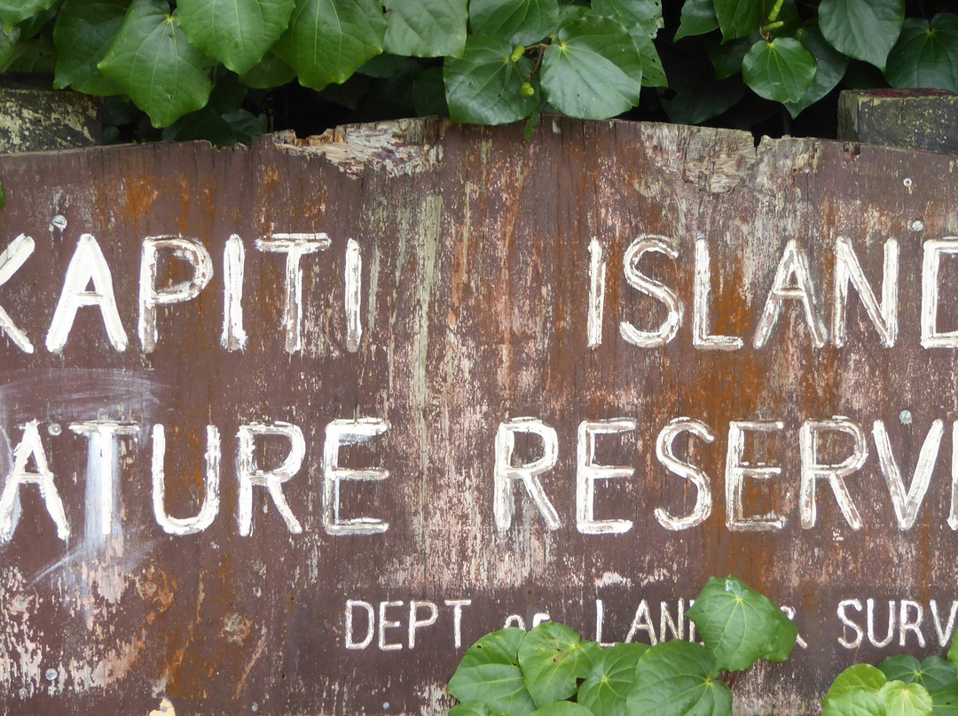 Kapiti Island Nature Tours景点图片