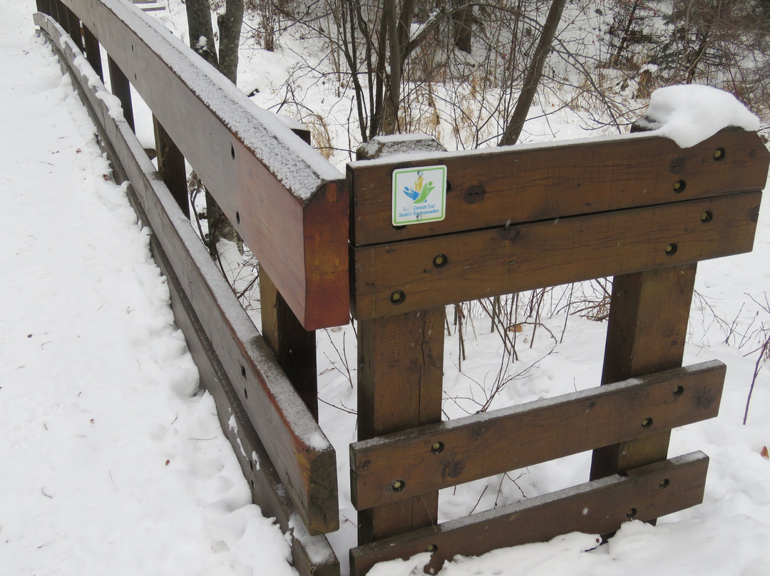 Kin Kanyon Park-红鹿市必去景点