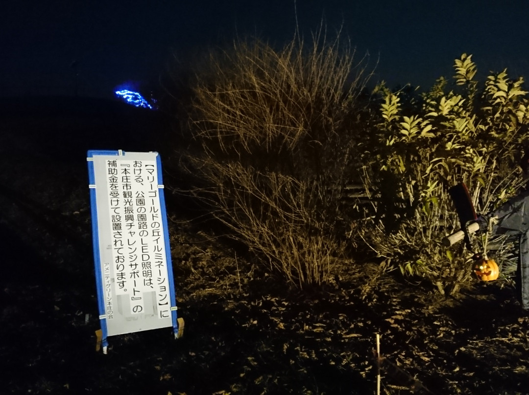 Marie Gold Nooka Park-本庄市必去景点