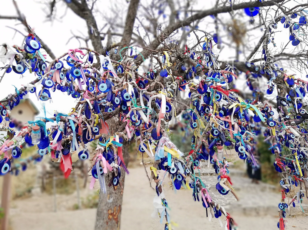 Curio Travel-库萨达斯必去景点