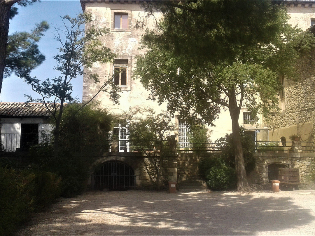 Chateau Saint-Pierre d'Escarvaillac景点图片