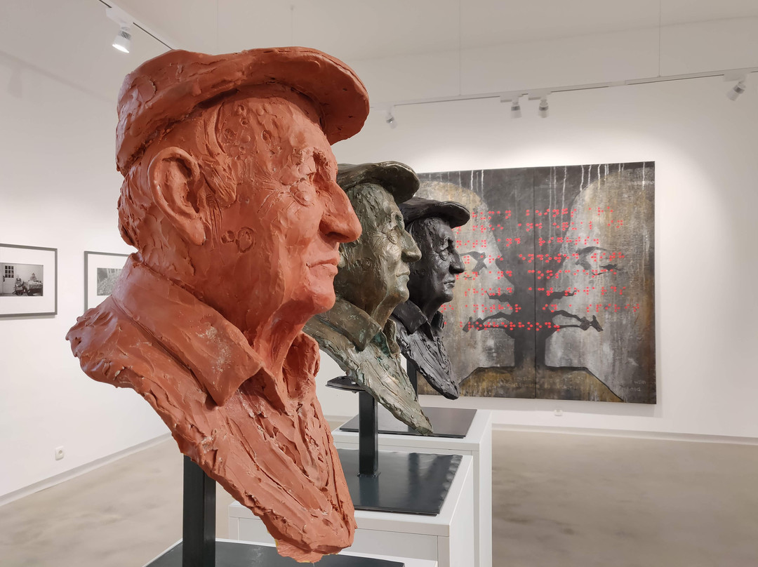 Ptuj city gallery-普图伊必去景点