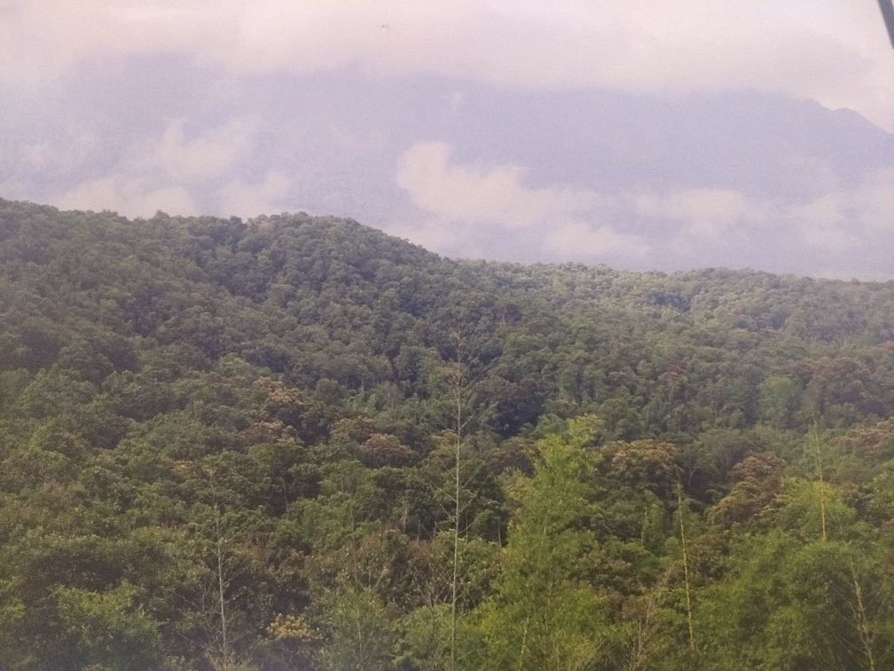 Parambikulam Tiger Reserve-Palakkad必去景点