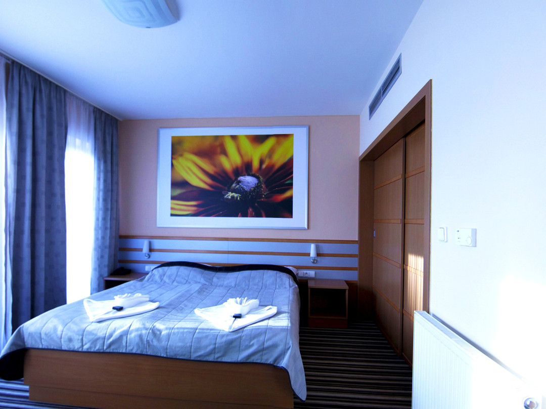 AIR Hotel主图