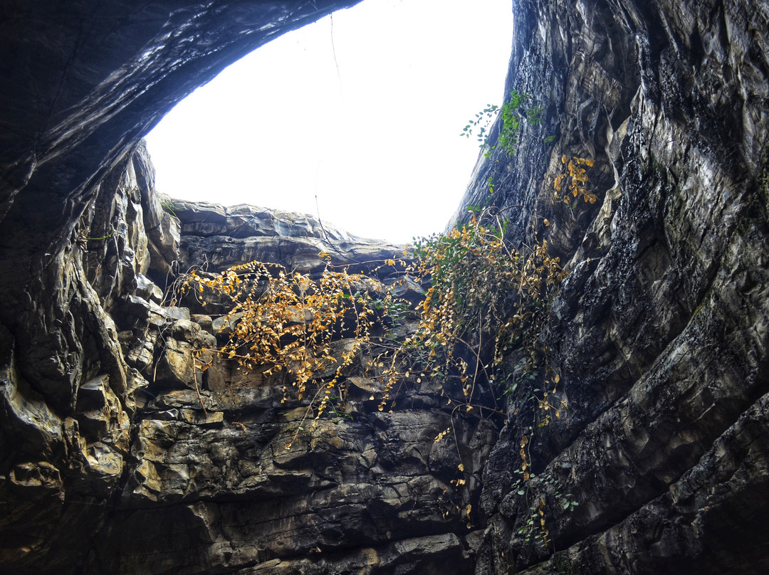 Belum Caves景点图片