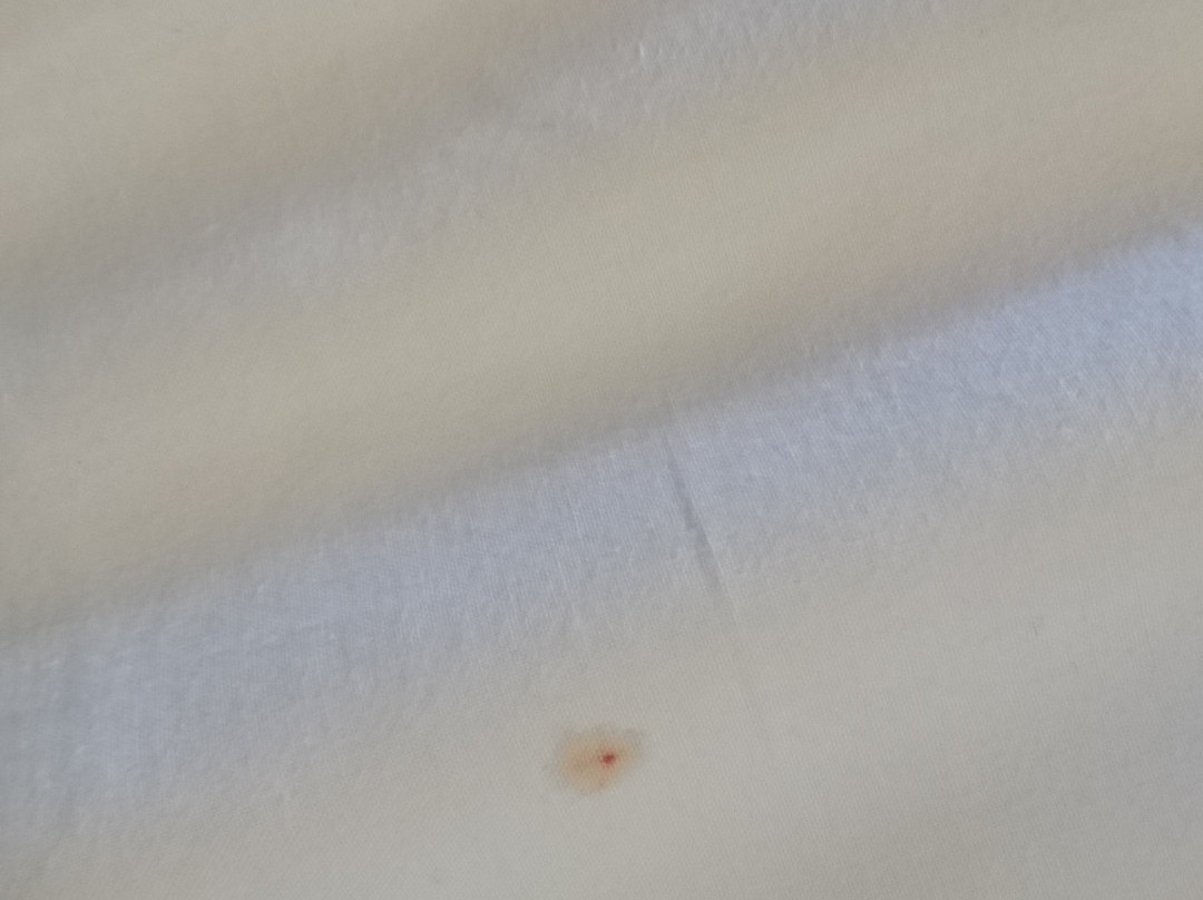 布什兰兹游戏洛奇饭店主图