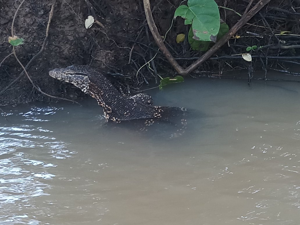 Amaya Lankan Tours-尼甘布必去景点