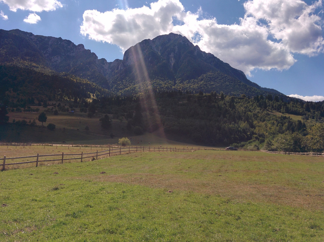 Piatra Craiului National Park Visitor Center