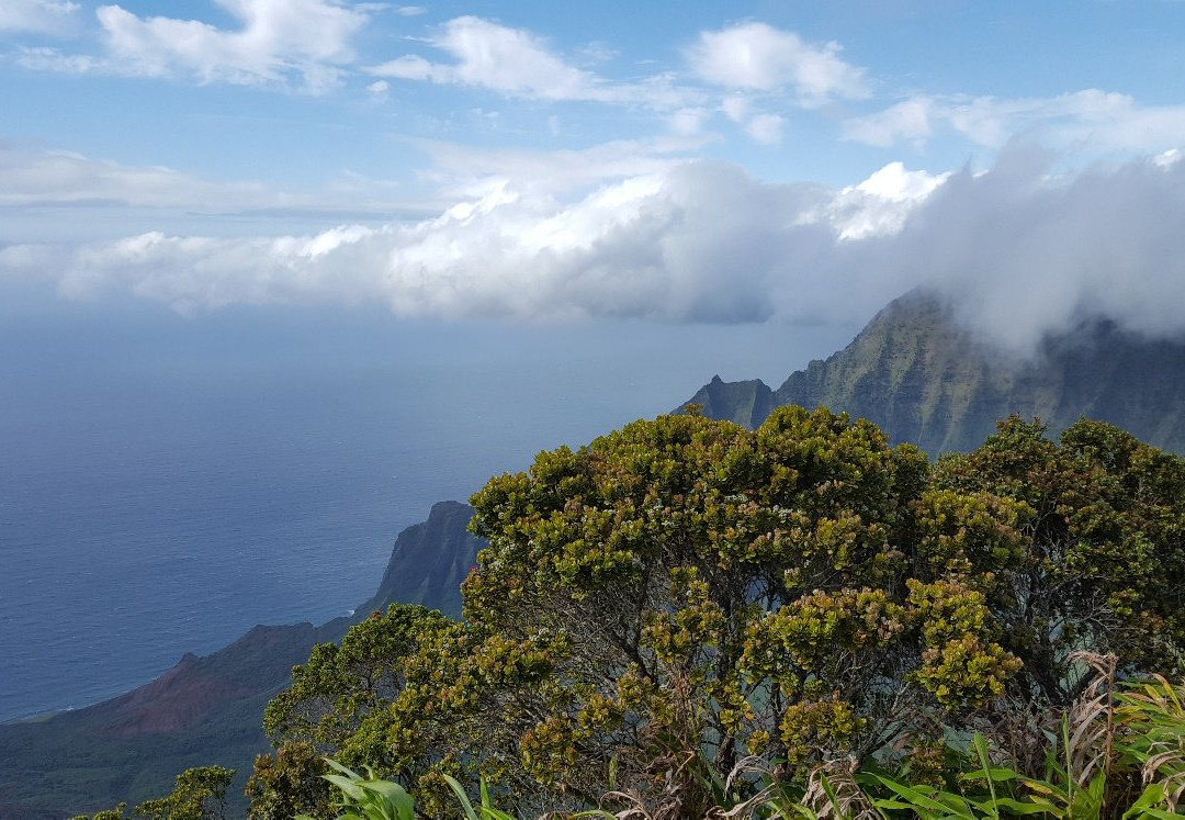 Koke'e Mountains-威美亚必去景点