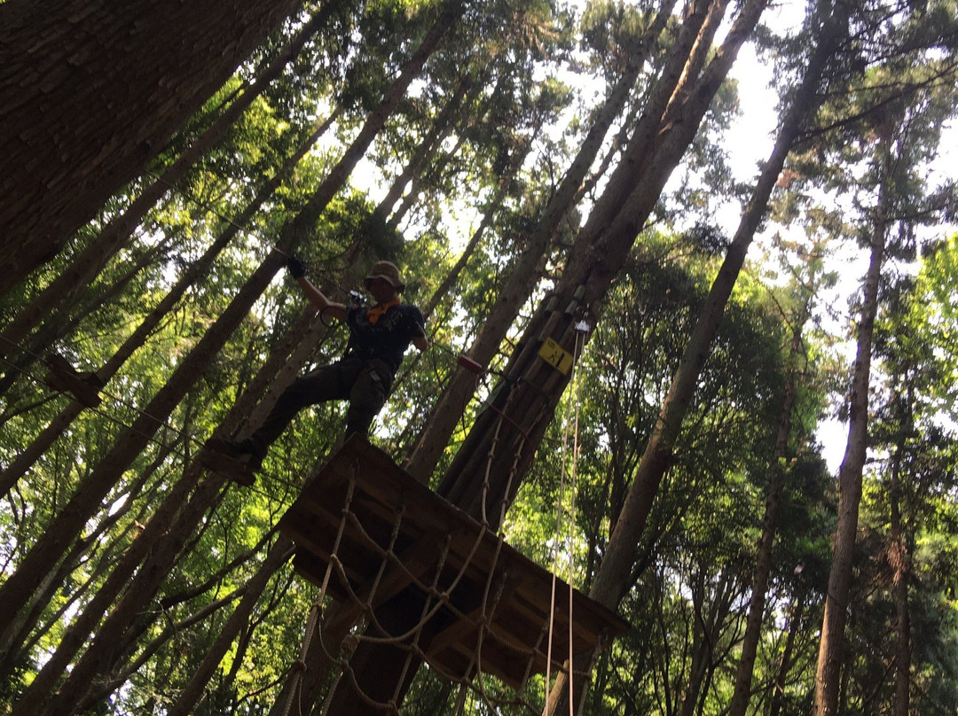 Forest Adventure Ohira-栃木市必去景点