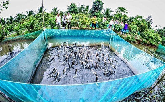 Canthotourist93-芹苴必去景点