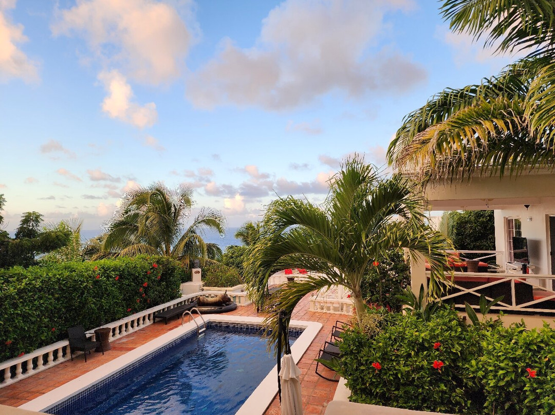 Chez Mango Villa And Suites