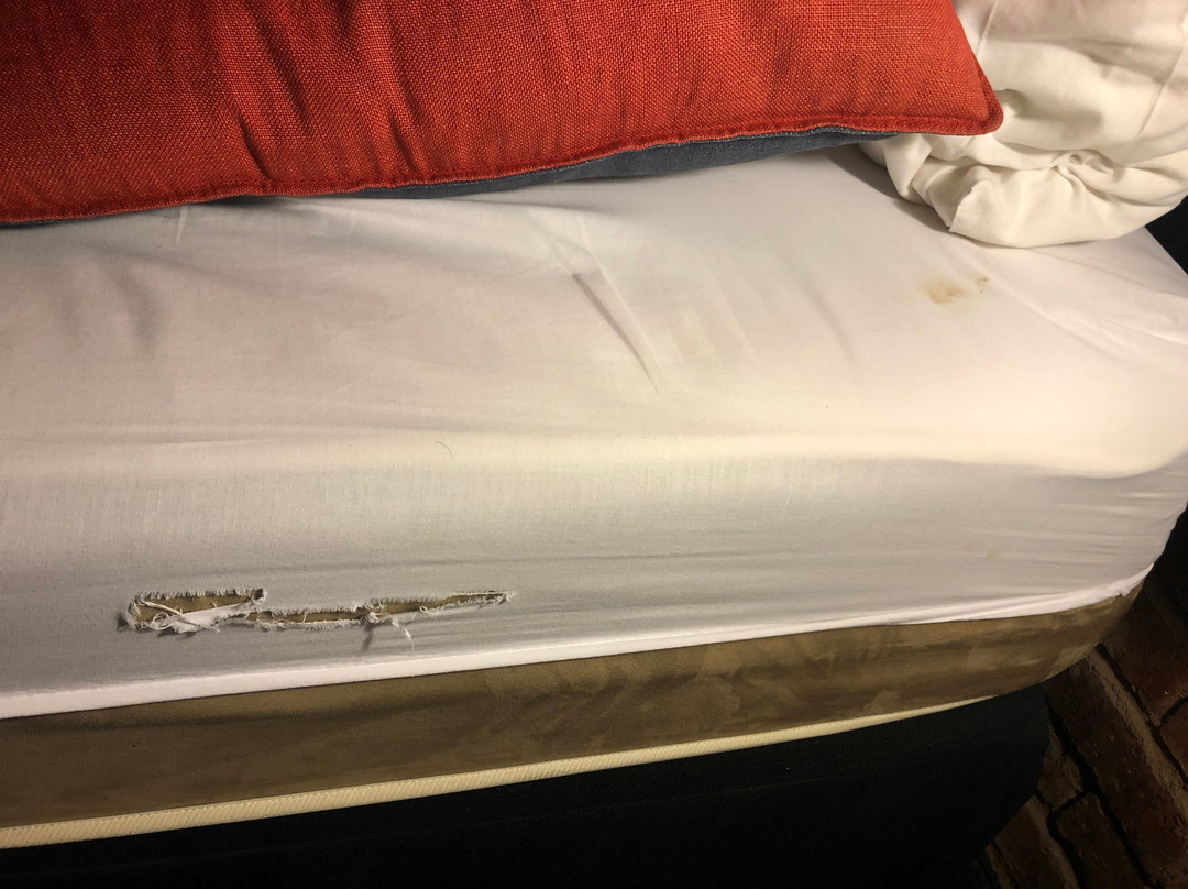 12 Decades Art Hotel主图