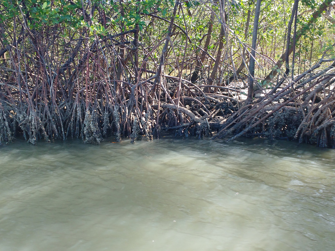 Mal Cozinhado River-Cascavel必去景点