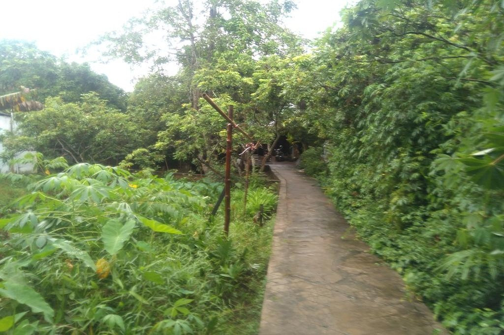 Ngoc Sang Homestay主图