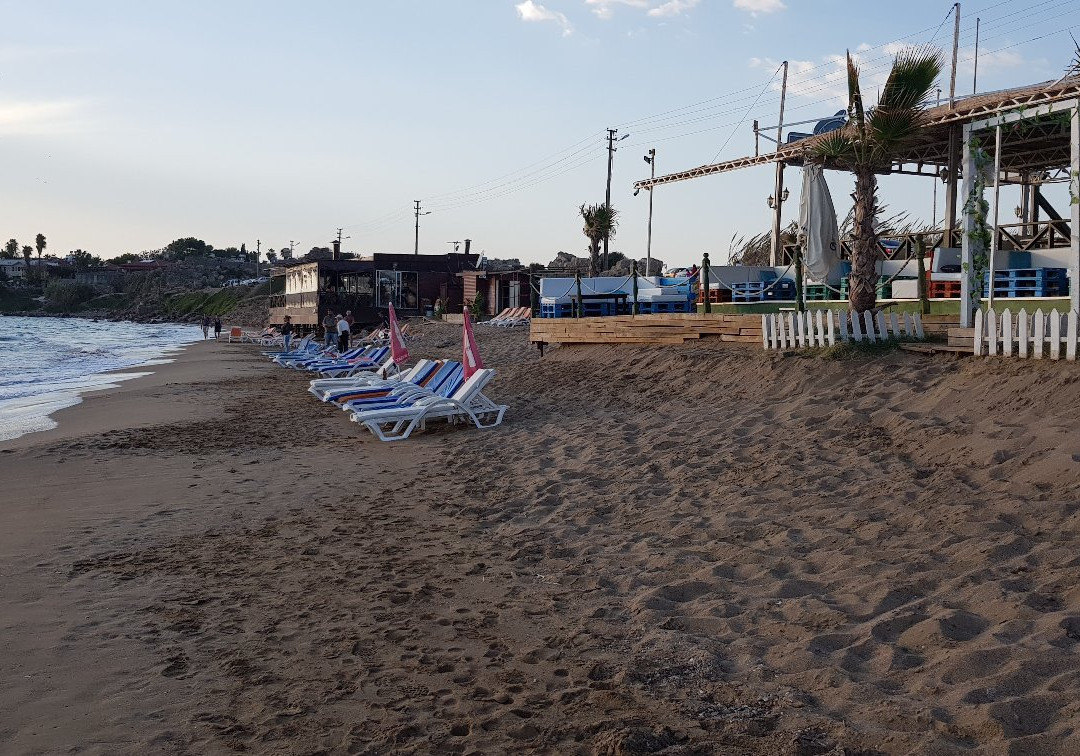 Seaside Beach Lounge景点图片