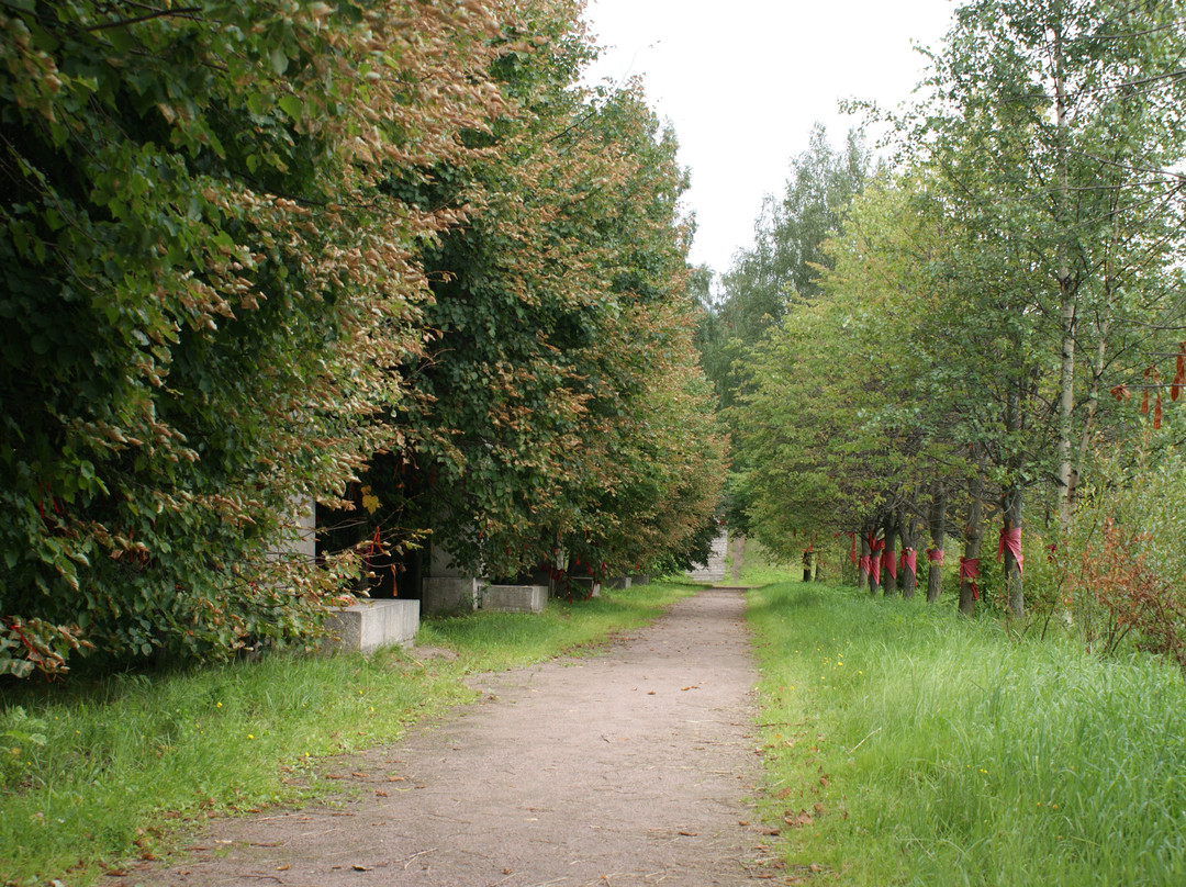 Vsevolozhsky District旅游攻略图片