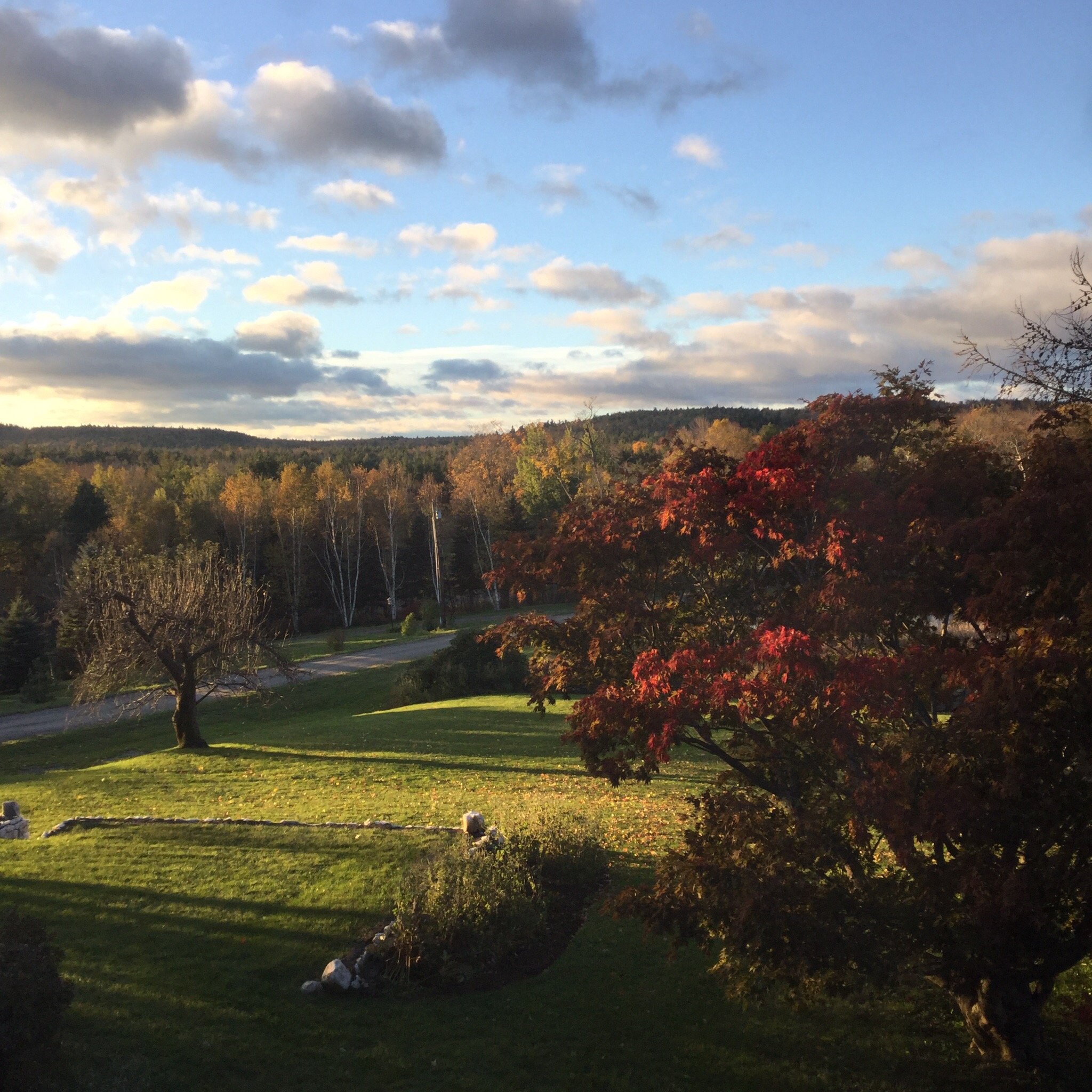 Colonel Williams Inn-官方