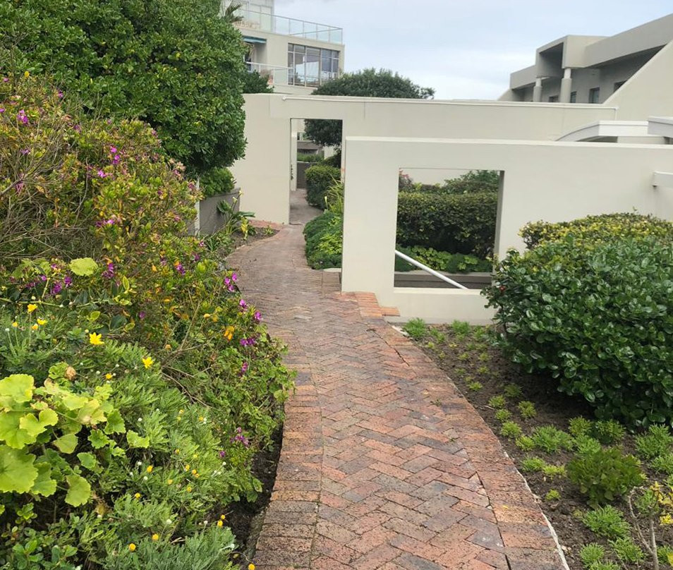 海豚湾大酒店主图